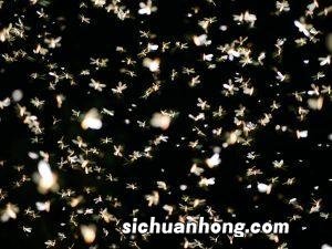 华为动态屏保怎么设置