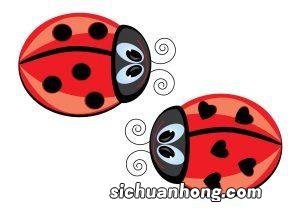 华为动态屏保怎么设置