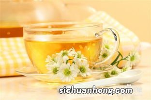 办公室人喝什么茶