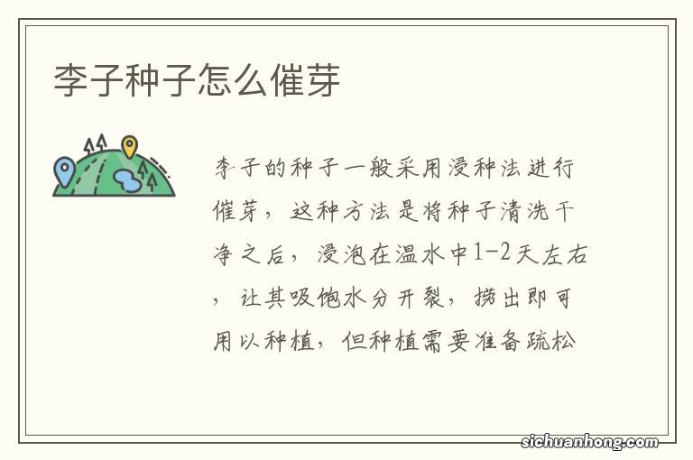 李子种子怎么催芽