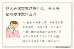 冬天养猪需要注意什么，冬天养猪需要注意什么吗