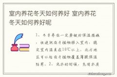 室内养花冬天如何养好 室内养花冬天如何养好呢