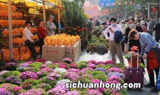 室内养花冬天如何养好 室内养花冬天如何养好呢