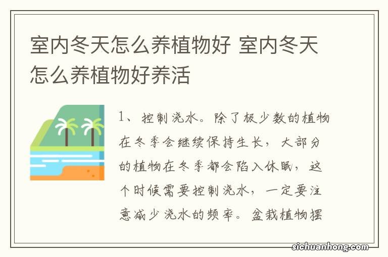 室内冬天怎么养植物好 室内冬天怎么养植物好养活