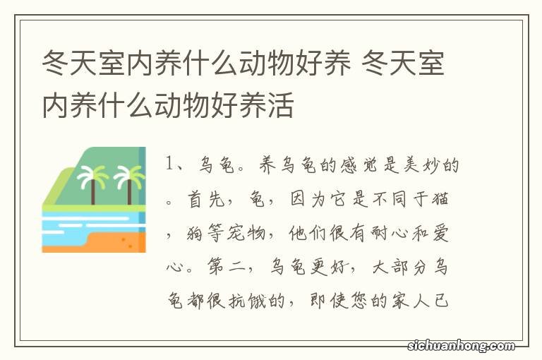 冬天室内养什么动物好养 冬天室内养什么动物好养活