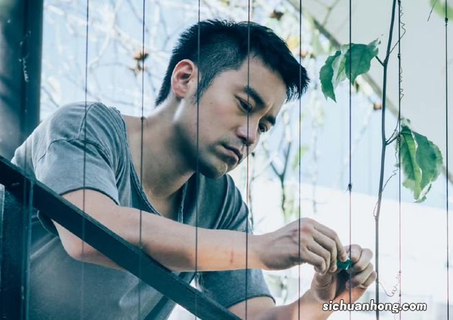 今晚，一部12集悬疑港剧开播，2大核心看点，有爆款潜质