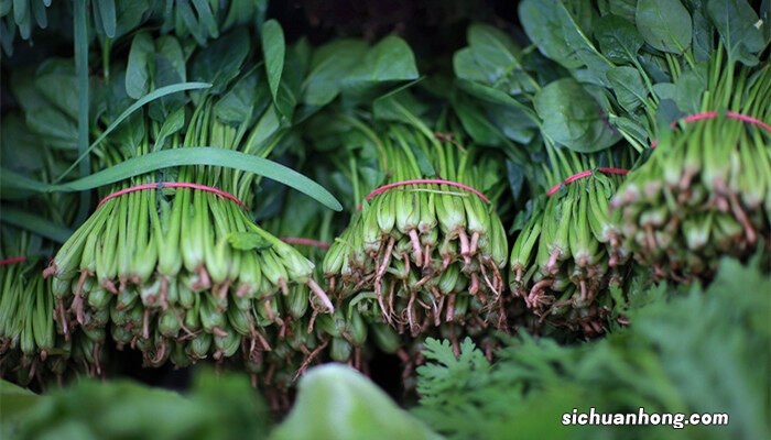 菠菜10月份还能种吗 菠菜10月份可以种植吗