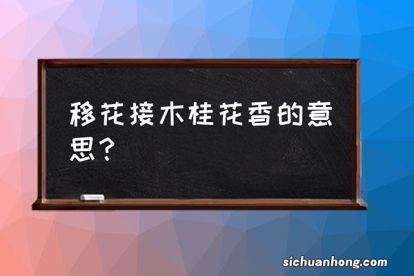 苹果手机如何编辑文档和表格