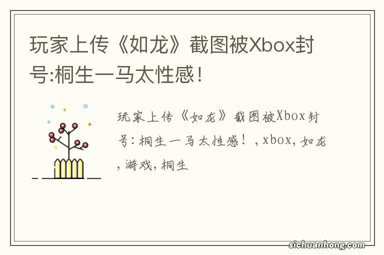 玩家上传《如龙》截图被Xbox封号:桐生一马太性感！