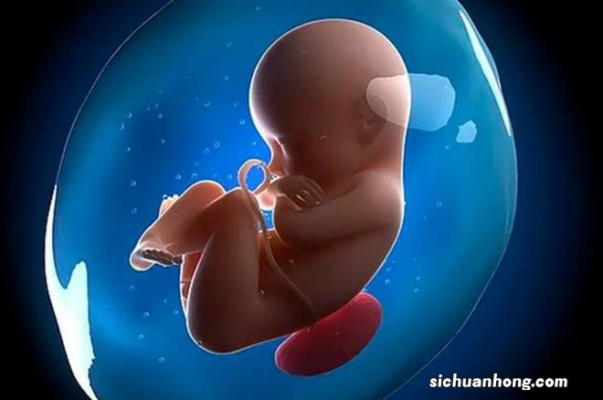 盘点关于胎儿的“小秘密”