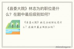 《县委大院》林志为的职位是什么？在剧中最后级别如何？