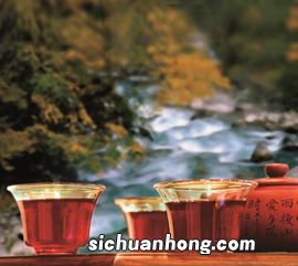 刮油去脂和什么茶最好