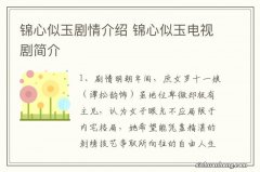 锦心似玉剧情介绍 锦心似玉电视剧简介