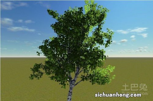 菌种有什么作用有哪些品种