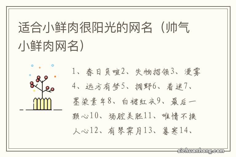 帅气小鲜肉网名 适合小鲜肉很阳光的网名