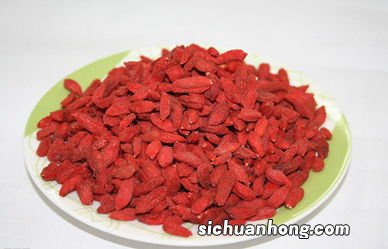 枸杞叶和什么煲汤
