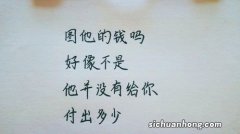 狗狗调理肠胃吃什么