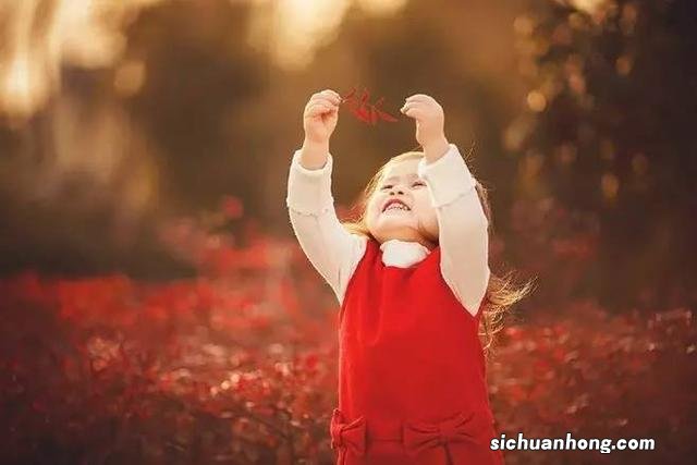 傣族在哪个地区