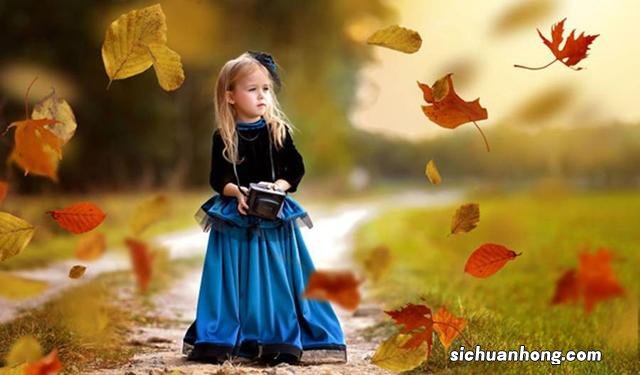 傣族在哪个地区