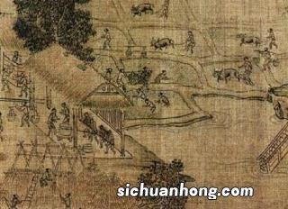 冰岛绒是什么面料