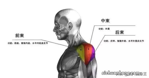 奥迪a4l的电瓶在哪搭线