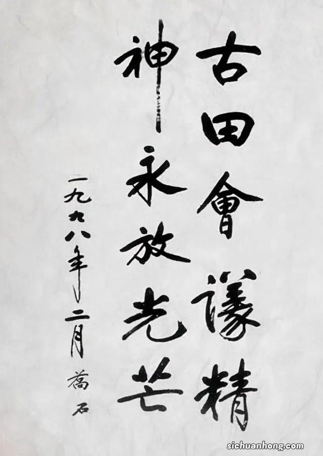 狗狗为什么尿血