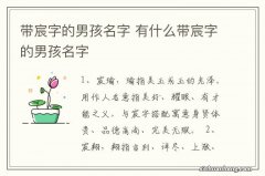 带宸字的男孩名字 有什么带宸字的男孩名字