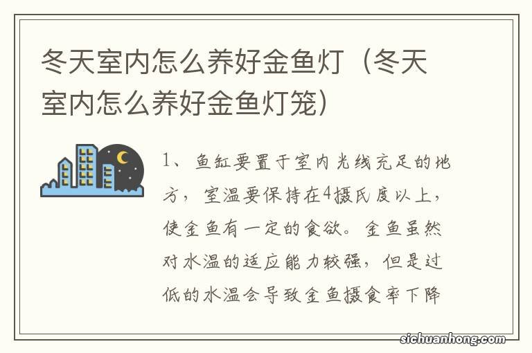 冬天室内怎么养好金鱼灯笼 冬天室内怎么养好金鱼灯