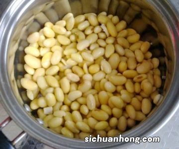 黄豆泡多久最好