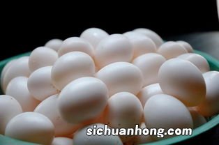 鸽子蛋与什么相克