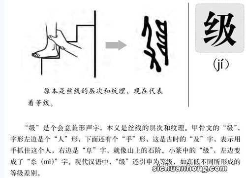 猫咪拉屎频繁什么原因