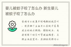 婴儿被蚊子咬了怎么办 新生婴儿被蚊子咬了怎么办