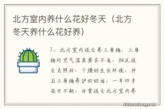 北方冬天养什么花好养 北方室内养什么花好冬天