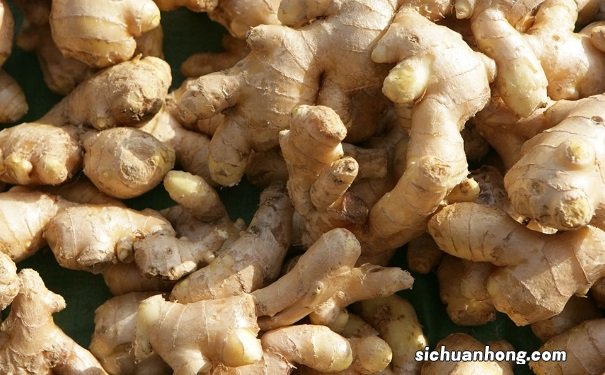 用生姜减肥的原理是什么?怎样用生姜减肥最有效果?