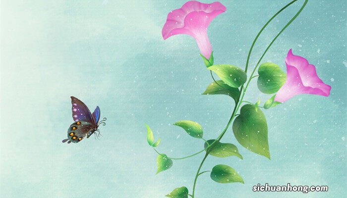 幼儿园秋季适合种什么植物呢 幼儿园秋季适合种什么植物