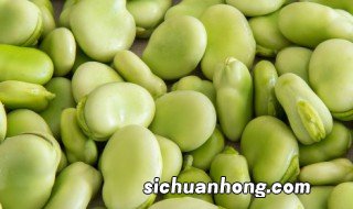 蚕豆什么时候种植 蚕豆什么时候种植最好