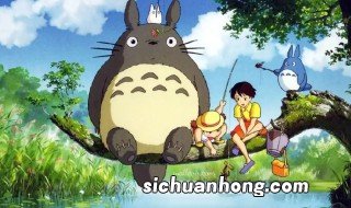 龙猫是猫还是老鼠的呢 龙猫是猫还是老鼠?