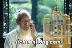 免疫力低下易患病怎么办？教你用八款药膳来防治