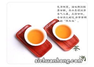 黑乌龙茶可以和什么茶一起泡