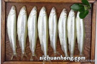 鹦鹉翅膀受伤了怎么办