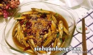 鹦鹉翅膀受伤了怎么办