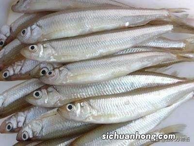 鹦鹉翅膀受伤了怎么办