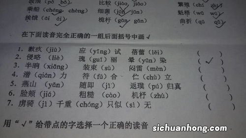 电子抓拍多久能查到