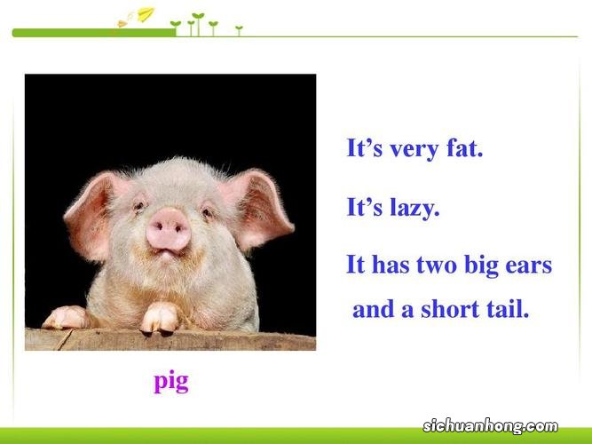 微信拉黑后恢复会有提醒吗