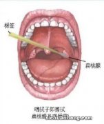 河南城市有哪些