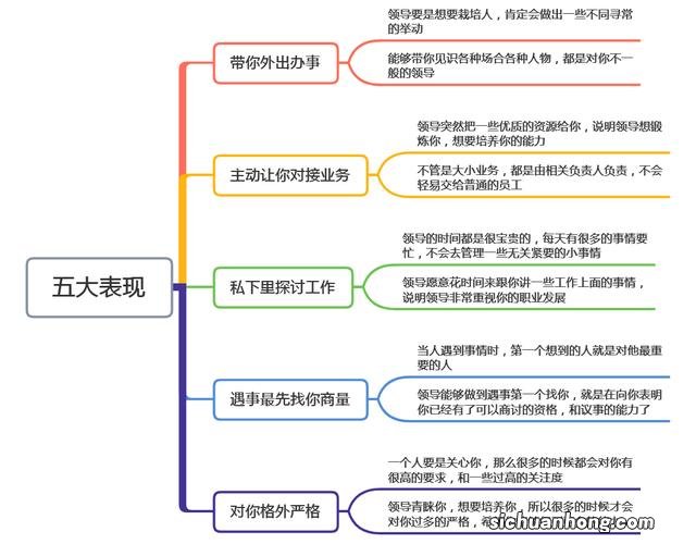 猫长了猫藓怎么办