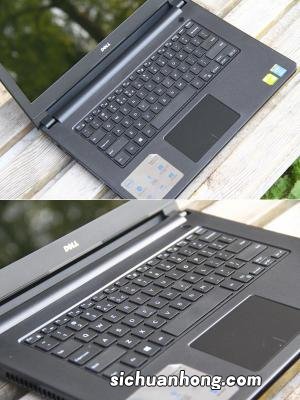 鸡喂什么饲料好