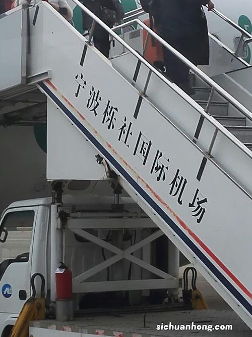 狼聪明到什么程度