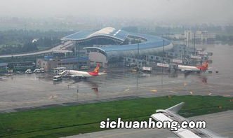 狼聪明到什么程度