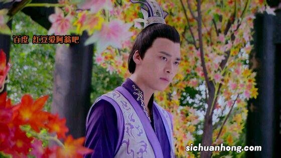 英短能和美短配吗